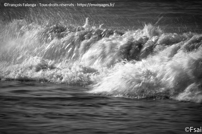 050-Trouville-octobre-2014.JPG