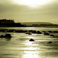111 - Trouville Dec 2013 -  plage