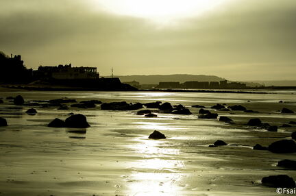 111 - Trouville Dec 2013 -  plage
