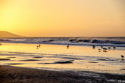 Deauville