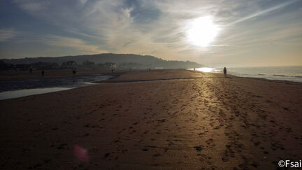 Trouville - JAN 2017 - 148
