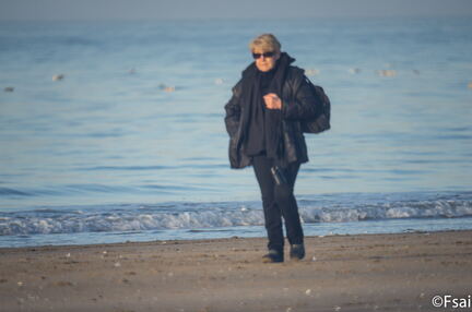 Deauville - JANVIER 2017