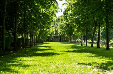 Chateau de Canon - Mai 2017