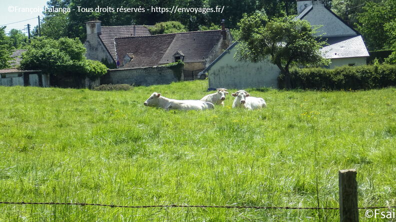 Chateau de Canon - Mai 2017 - 046.JPG