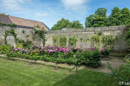 Chateau de Canon - Mai 2017