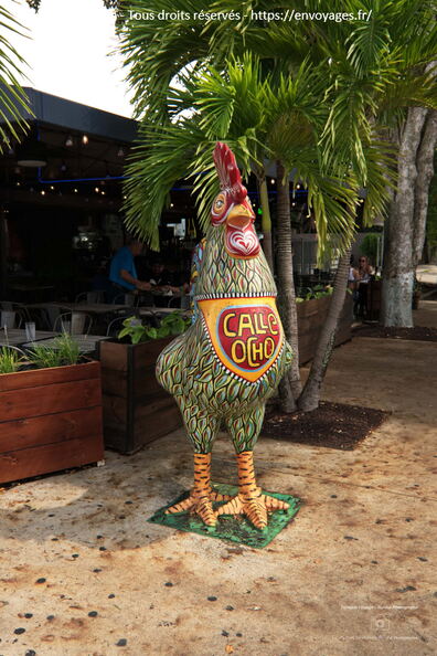 Fsai240902_151432-Miami_028.jpg