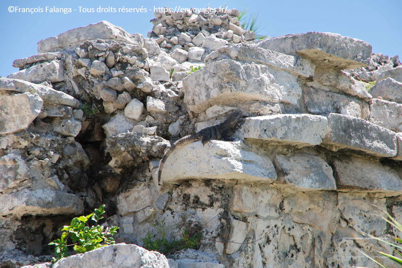 Fsai240911_131942-tulum_011.jpg